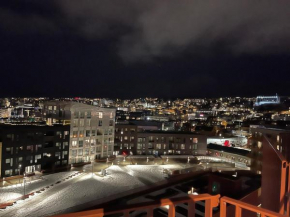 Tromsø city center Vervet
